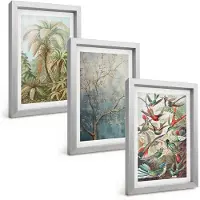 Wallfluent 3-Delige Schilderij Set - Tropische Planten En Kleurrijke Vogels In De Natuur - 20 x 30 cm - Wanddecoratie - Muurdecoratie - Woonkamer - Stijlvolle Muurdecoratie