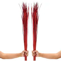 Famanu – Gedroogd Siergras voor Vloervazen 115 cm Droogboeket Set 2