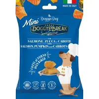 Doggyebag Doggyebreak Mini Zalm Pompoen - Hondensnack - 60 g