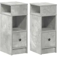 vidaXL Nachtkastjes 2 st met lade 25x31x66 cm betongrijs
