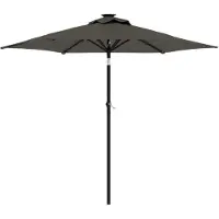 vidaXL Parasol met LED-verlichting en stalen mast, antraciet, 225x225x212 cm