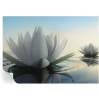 Wallfluent Zelfklevend Fotobehang - Wit Vliesbehang - 208x146 cm - Waterlelies Fotobehang - Woonkamer behang Bloemen En Planten - Bubble Free Behang - Makkelijk Aan Te Brengen Behang