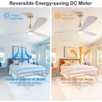 HAUSS SPOLE Ventilator - Plafondventilator Met Verlichting - 132 Cm - ABS - Wit Goud - Met Afstandsbediening, Omkeerbare DC Motor En Geheugenfunctie