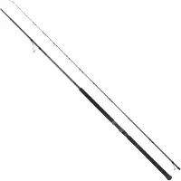 Savage Gear Defiance Sg6 Shore Jigging Rod Zilver 3.05 m / 30-100 g