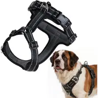 Peluvio Mate – Hondentuig met Reflectie - Maat XL – Duurzaam Nylon – Ergonomisch Guard Tuig – Antiroest Gespen – Sneldrogend & Weerbestendig – Comfort & Controle voor Actieve Honden