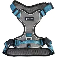 Petlando Magnetisch outdoor tuig antraciet/petrol S