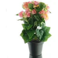 Gasper Elatior-begonia Roze in zwarte pot 38 cm - Kunstbloemen