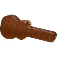 Gibson Lifton Historic Brown/Pink Hardshell Case SJ-200 koffer voor SJ-200