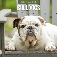 Red Robin Engelse Bulldog Kalender 2027