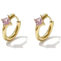 Yehwang Lumi - Geometrische Oorringen - Zirkoon - Stainless Steel - - Roze