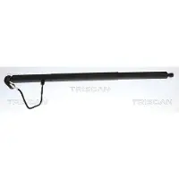 TRISCAN 8710 29334 Gasveer achterklep