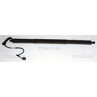 TRISCAN 8710 29338 Gasveer achterklep