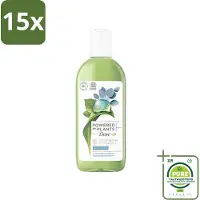 Dove 15 x Powered by Plants - Oil Body Wash - Eucalyptus - 250 ml - Grootverpakking - Natuurlijke Bodywash - Eucalyptus Bodywash - Hydraterende Bodywash - Vegan Bodywash - Cruelty-Free Bodywash
