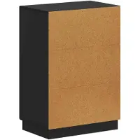 vidaXL Schoenenkast HOORN 59,5 x 39,5 x 87 cm Bewerkt hout Zwart