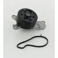 TRISCAN 8600 10039 Waterpomp