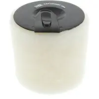 Champion CAF100458C Luchtfilter