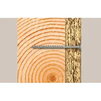 Fischer 670414 Power-Fast II Spaanplaatschroef 5 mm 40 mm Kruiskop Pozidriv Staal Galvanisch verzinkt 500 stuk(s)