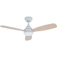 Evolar Plafondventilator met Verlichting - 106 cm - Stille Plafondlamp met Ventilator - Dimbaar Warm Wit Licht (LED) - EVO-CF3269WW