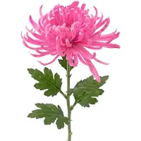 Clayre & Eef Kunstbloem Roze Kunststof