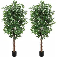 Happiq Set van 2 Kunstficus Bomen - Realistisch design met Houten Stam - voor woonkamer en kantoor - 183cm Groen Zijdeplant - 230 cm