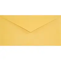 Netuno Gladde gele enveloppen A4 - 110 x 220 mm - 25 stuks - NK natgelijmde - 120 gram - Keaykolour -
