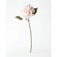 HEMA Kunstbloem Hortensia 55cm Wit (wit)