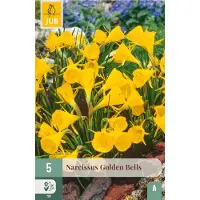 JUB Narcissus golden bells 5st