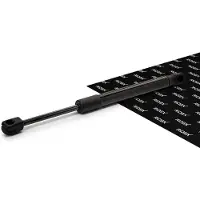 RIDEX 219G1467 Gasveer achterklep
