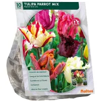 Baltus Tulipa Parkiet mix 10 stuks bloembollen