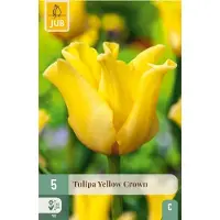 JUB Tulipa yellow crown 5st