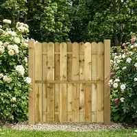 vidaXL Tuinpoort 100 x 125 cm Massief grenenhout Groen