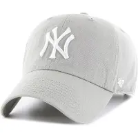 47 Mlb New York Yankees Pet