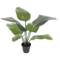 Maxifleur Kunstplanten Strelitzia Nicolai kunstplant 60cm