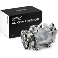 RIDEX 447K1487 Aircopomp