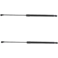 RIDEX 219G3145 Gasveer achterklep