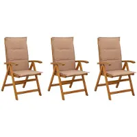 vidaXL Ligstoelen voor Tuin 3 st Naturel Massief Acacia Hout