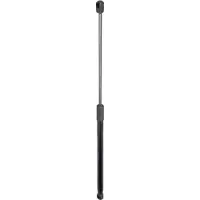 STABILUS Gasveer, kofferbak / laadruimte 262932