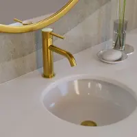 Gme Wastafelmengkraan Sirio 16,5cm Hoogte Geborsteld Goud