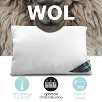 Lanotte hoofdkussen - 100% wol vulling - 60x70 cm