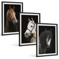 Coloray 3-Delige Schilderij Set - Portretten Van Paarden In Verschillende Vachtkleuren - 40 x 60 cm - Decoratieve Muurdecoratie - Slaapkamer - Interieur Decoratie