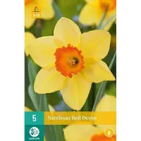 JUB X 5 Narcissus Red Devon