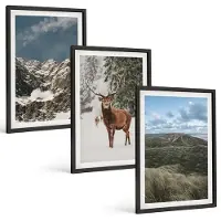 Coloray 3-Delige Schilderij Set - Bergen Met Sneeuwherten In Boslandschappen - 40 x 60 cm - Moderne Wanddecoratie - Woonkamer - Woonkamer Decoratie