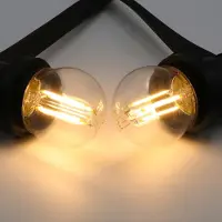 PrikkabelLED Prikkabel set met 2,5W of 4,5 lamp, 2700K, Ø45, helder glas, dimbaar - incl. dimmer