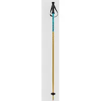 Völkl Phantastick Junior Stokken