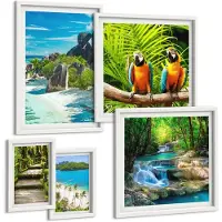 Coloray 5-Delige Schilderij Set - Tropische Landschappen Met Exotische Vogels En Watervallen - 50 x 50 cm, 20 x 30 cm En 40 x 60 cm - Wanddecoratie - Schilderijen Set - Interieur - Muurdecoratie