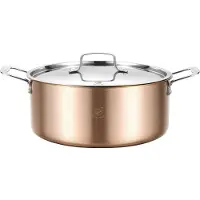 ROYAL SWISS Braadpan 24 cm met deksel – Drielaags roestvrij staal 18/10 – Kookpan geschikt voor inductie – Vrij van PFAS – Roestvrij staal