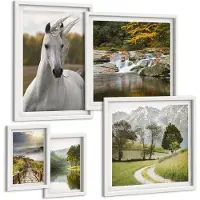 Coloray 5-Delige Schilderij Set - Natuurlijke Schoonheid Van Landschappen En Dieren In Harmonie - 50 x 50 cm, 20 x 30 cm En 40 x 60 cm - Stijlvolle Wanddecoratie - Interieur - Interieur Decoratie
