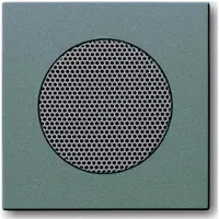 Busch-Jaeger Afdekhoes Luidspreker Solo Grijs (metallic) 8253-803 (8253-803)