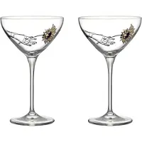 Kosta Boda All about you coupe champagneglas 32 cl 2-pack All for you