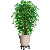vidaXL Plantentrolleys met wielen 5 st 275 kg diameter 40 cm zwart